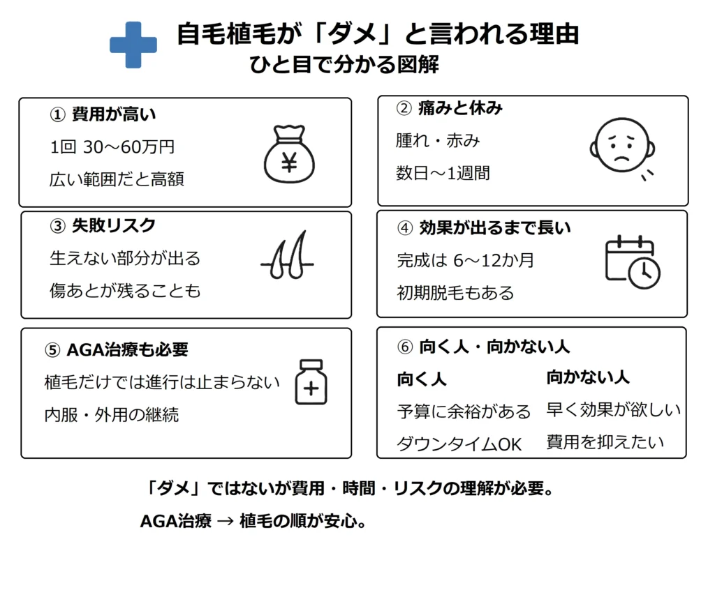 インフォグラフィック：自毛植毛が「ダメ」と言われる理由